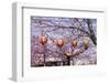 Cherry Blossom in the Maruyama-Koen Park, UNESCO World Heritage Sight Kyoto, Japan-Michael Runkel-Framed Photographic Print