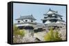 Cherry Blossom in the Matsuyama Castle, Shikoku, Japan, Asia-Michael Runkel-Framed Stretched Canvas