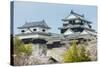 Cherry Blossom in the Matsuyama Castle, Shikoku, Japan, Asia-Michael Runkel-Stretched Canvas