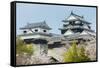 Cherry Blossom in the Matsuyama Castle, Shikoku, Japan, Asia-Michael Runkel-Framed Stretched Canvas