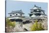 Cherry Blossom in the Matsuyama Castle, Shikoku, Japan, Asia-Michael Runkel-Stretched Canvas