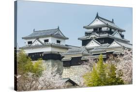 Cherry Blossom in the Matsuyama Castle, Shikoku, Japan, Asia-Michael Runkel-Stretched Canvas