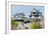Cherry Blossom in the Matsuyama Castle, Shikoku, Japan, Asia-Michael Runkel-Framed Photographic Print
