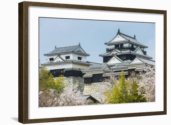 Cherry Blossom in the Matsuyama Castle, Shikoku, Japan, Asia-Michael Runkel-Framed Photographic Print