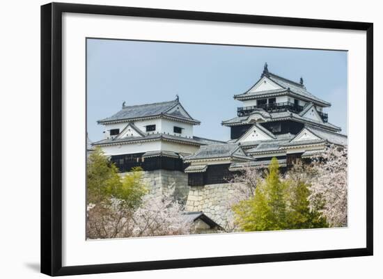 Cherry Blossom in the Matsuyama Castle, Shikoku, Japan, Asia-Michael Runkel-Framed Photographic Print