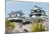 Cherry Blossom in the Matsuyama Castle, Shikoku, Japan, Asia-Michael Runkel-Mounted Photographic Print