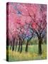 Cherry Blossom in the Meadow, 2022 (Acrylic)-Ann Oram-Stretched Canvas