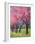 Cherry Blossom in the Meadow, 2022 (Acrylic)-Ann Oram-Framed Giclee Print