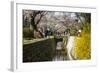 Cherry Blossom in the Philosopher's Walk, Kyoto, Japan, Asia-Michael Runkel-Framed Photographic Print