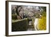 Cherry Blossom in the Philosopher's Walk, Kyoto, Japan, Asia-Michael Runkel-Framed Photographic Print