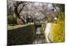 Cherry Blossom in the Philosopher's Walk, Kyoto, Japan, Asia-Michael Runkel-Mounted Photographic Print