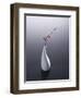 Cherry blossom in vase-John Smith-Framed Premium Photographic Print