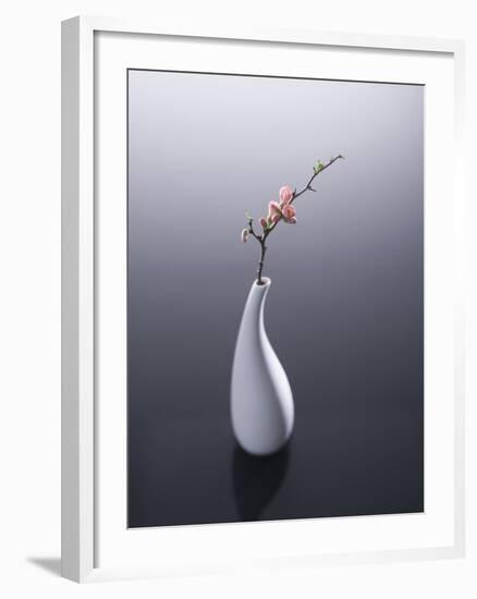 Cherry blossom in vase-John Smith-Framed Photographic Print