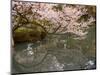 Cherry Blossom, Kenrokuen Garden, Kanazawa City, Ishigawa Prefecture, Honshu Island, Japan-Christian Kober-Mounted Photographic Print