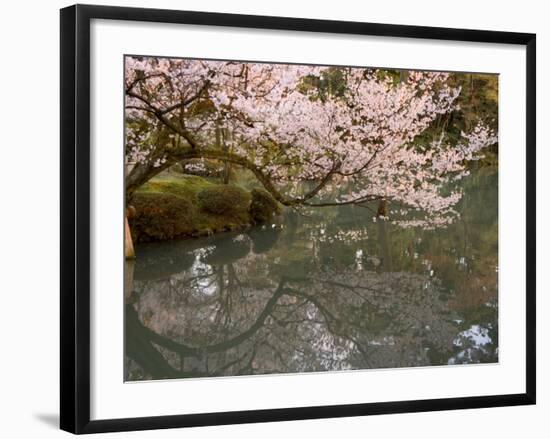 Cherry Blossom, Kenrokuen Garden, Kanazawa City, Ishigawa Prefecture, Honshu Island, Japan-Christian Kober-Framed Photographic Print