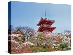 Cherry Blossom, Kyoto, Japan-Shin Terada-Stretched Canvas