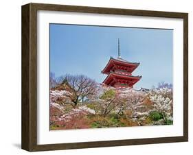 Cherry Blossom, Kyoto, Japan-Shin Terada-Framed Photographic Print