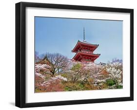 Cherry Blossom, Kyoto, Japan-Shin Terada-Framed Photographic Print