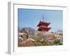 Cherry Blossom, Kyoto, Japan-Shin Terada-Framed Photographic Print