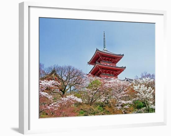 Cherry Blossom, Kyoto, Japan-Shin Terada-Framed Photographic Print