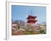 Cherry Blossom, Kyoto, Japan-Shin Terada-Framed Photographic Print