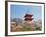 Cherry Blossom, Kyoto, Japan-Shin Terada-Framed Photographic Print