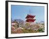 Cherry Blossom, Kyoto, Japan-Shin Terada-Framed Photographic Print