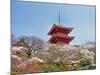 Cherry Blossom, Kyoto, Japan-Shin Terada-Mounted Photographic Print