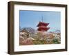 Cherry Blossom, Kyoto, Japan-Shin Terada-Framed Photographic Print