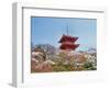 Cherry Blossom, Kyoto, Japan-Shin Terada-Framed Photographic Print