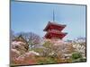 Cherry Blossom, Kyoto, Japan-Shin Terada-Mounted Photographic Print