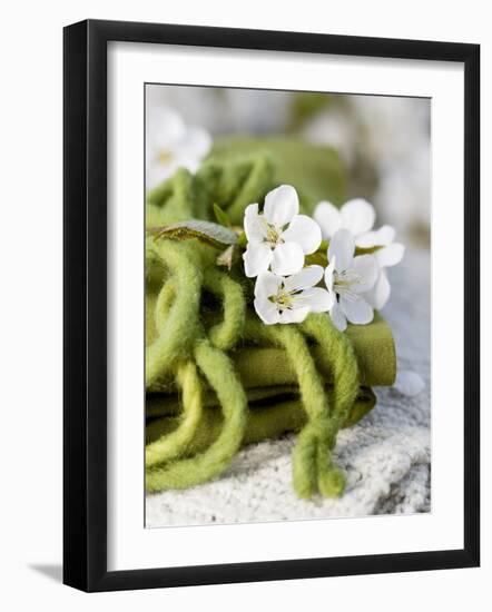 Cherry Blossom on a Felted Cord-Sara Deluca-Framed Photographic Print