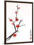 Cherry Blossom Painting-shadow216-Framed Art Print