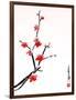 Cherry Blossom Painting-shadow216-Framed Art Print