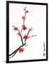 Cherry Blossom Painting-shadow216-Framed Art Print