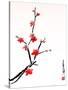 Cherry Blossom Painting-shadow216-Stretched Canvas