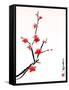 Cherry Blossom Painting-shadow216-Framed Stretched Canvas