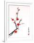 Cherry Blossom Painting-shadow216-Framed Art Print