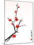 Cherry Blossom Painting-shadow216-Mounted Art Print