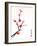 Cherry Blossom Painting-shadow216-Framed Art Print