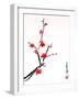 Cherry Blossom Painting-shadow216-Framed Art Print