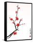 Cherry Blossom Painting-shadow216-Framed Stretched Canvas