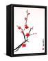 Cherry Blossom Painting-shadow216-Framed Stretched Canvas