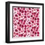 Cherry Blossom Pop-Sharon Turner-Framed Art Print