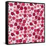 Cherry Blossom Pop-Sharon Turner-Framed Stretched Canvas