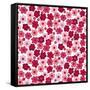 Cherry Blossom Pop-Sharon Turner-Framed Stretched Canvas