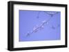 Cherry Blossom Sky 3-null-Framed Photographic Print