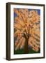 Cherry blossom, Spring London-Cosima Duggal-Framed Giclee Print