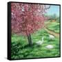 Cherry Blossom Time-Kevin Dodds-Framed Stretched Canvas