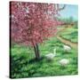 Cherry Blossom Time-Kevin Dodds-Stretched Canvas